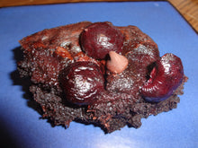 Super Fudgy and Deliciously Rich Homemade Roasted Cherry Chocolate Brownies (9" x 9") Tray