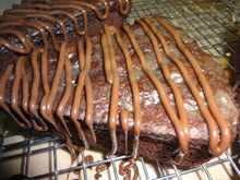 Brownie Like Homemade Triple Chocolate Scones (8 Scones)