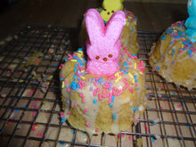 Homemade Single Serving Simply Vanilla Bundt Cakes (6 Cakes)
