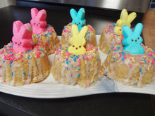 Homemade Single Serving Simply Vanilla Bundt Cakes (6 Cakes)